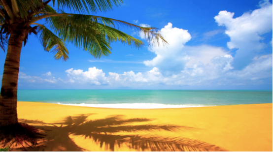 1671585839126911.png image.png