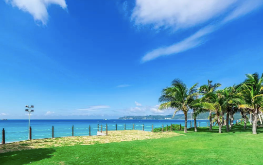 1672018313151824.png 图片3.png