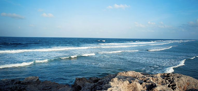 1679280654190645.png 图片1.png