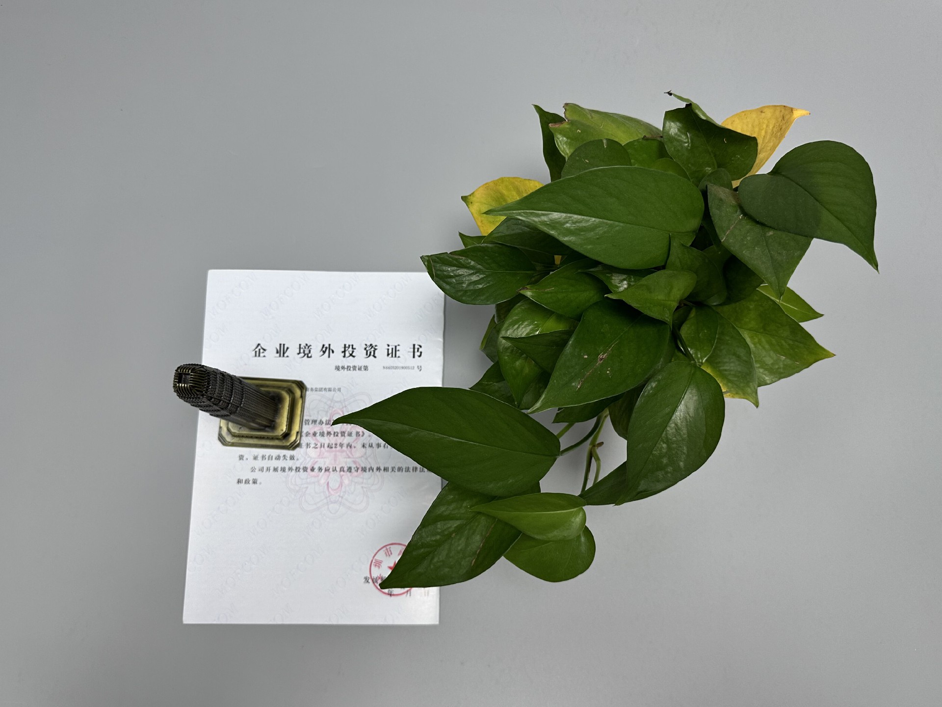 ODI备案登记 ODI备案登记