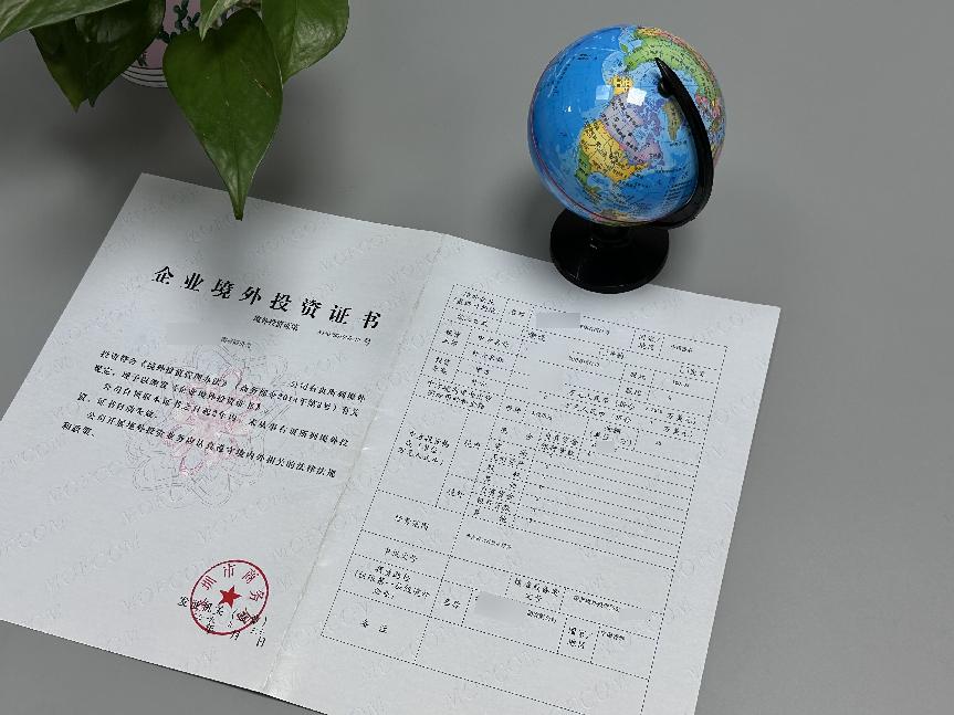 ODI备案登记 ODI备案登记