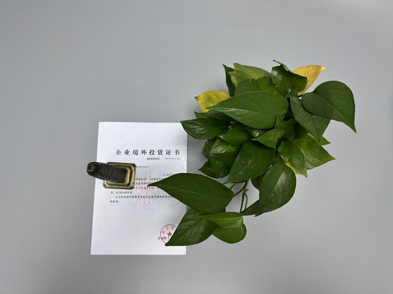 ODI境外投资备案 ODI境外投资备案