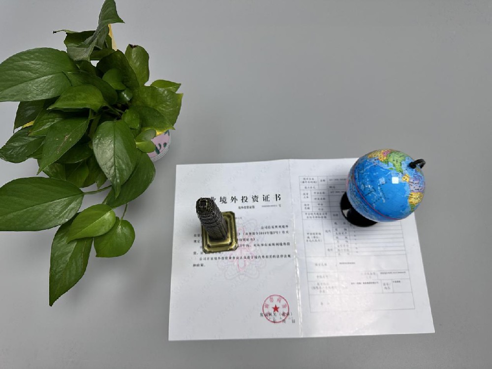 ODI境外投资备案 ODI境外投资备案