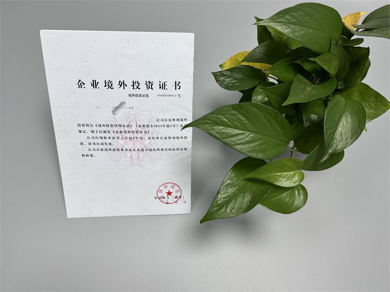 ODI境外投资备案 ODI境外投资备案