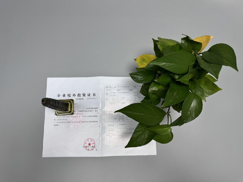 ODI备案登记 ODI备案登记