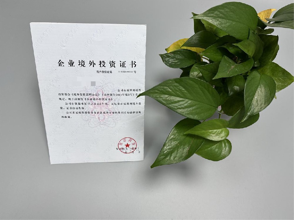 ODI境外投资备案 ODI境外投资备案