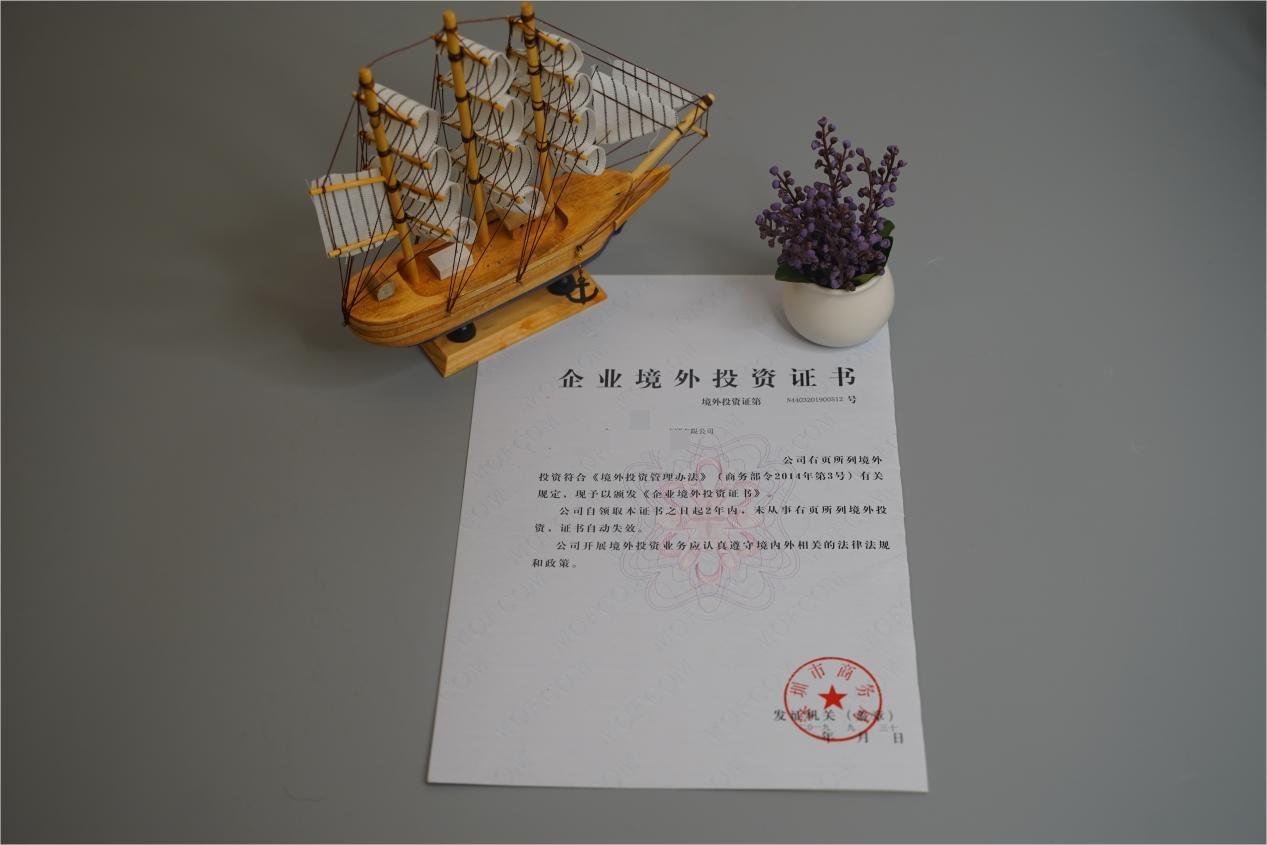 ODI境外投资备案 ODI境外投资备案