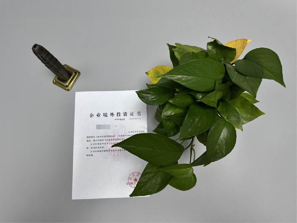 ODI境外投资备案 ODI境外投资备案