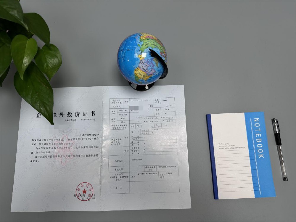 个人境外投资 个人境外投资