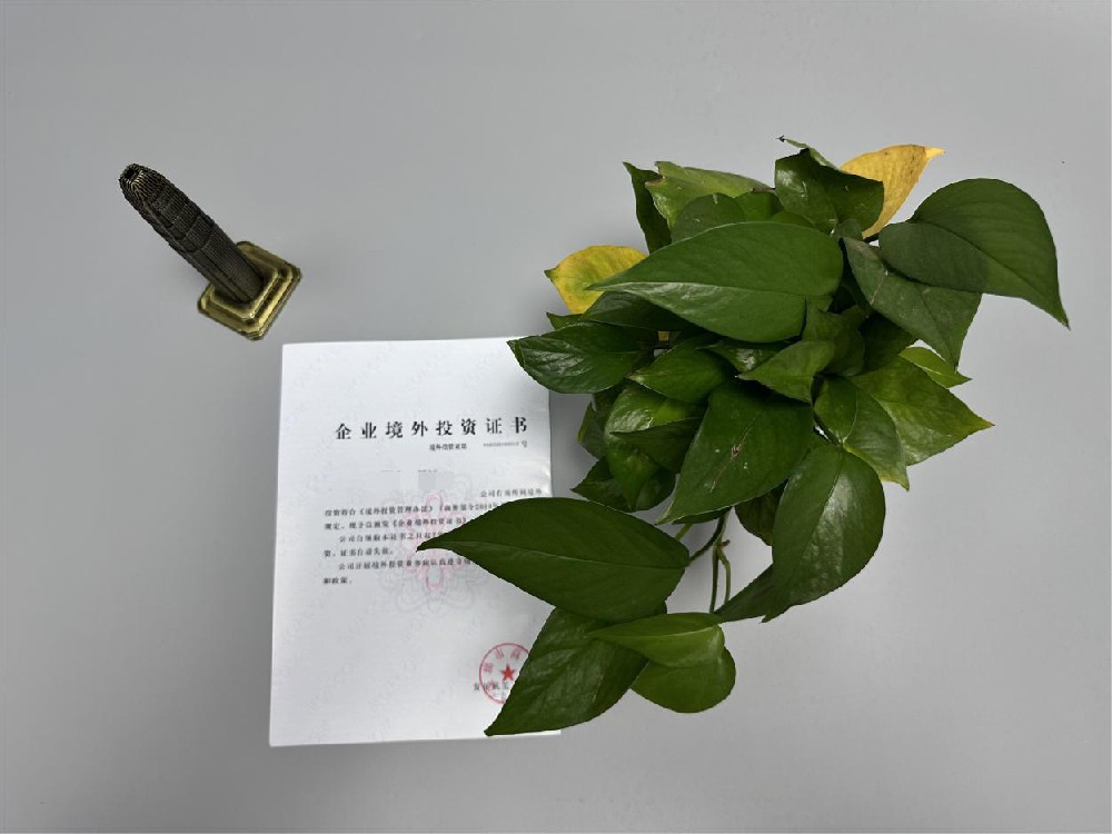 ODI境外投资备案 ODI境外投资备案