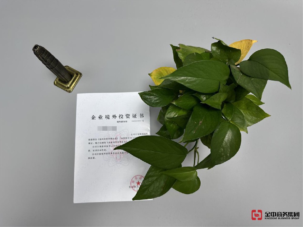 境外投资备案 境外投资备案