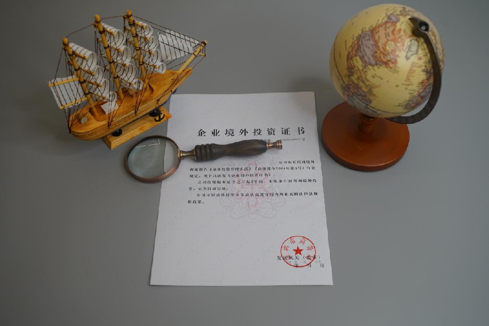 企业境外投资 企业境外投资