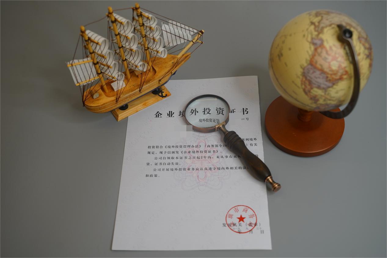 企业境外投资 企业境外投资