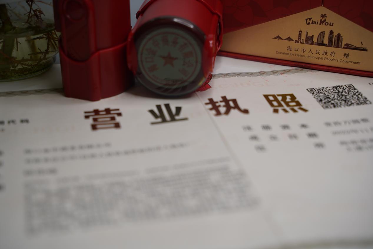 海南注册公司