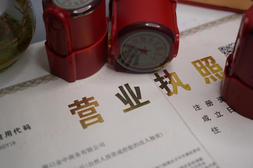 海南公司注册 海南公司注册