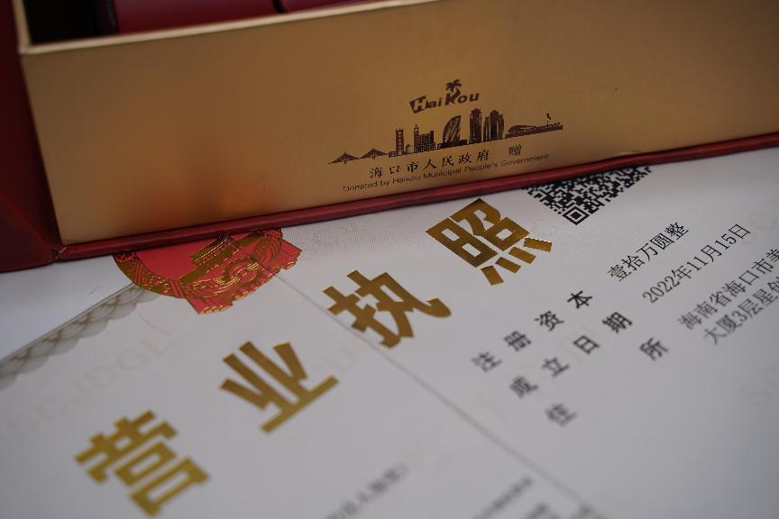 海南公司注册 海南公司注册