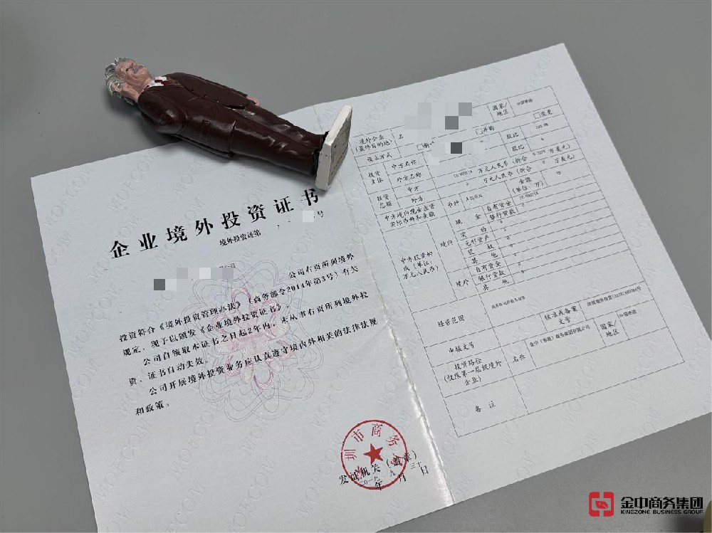 投资国外公司 投资国外公司