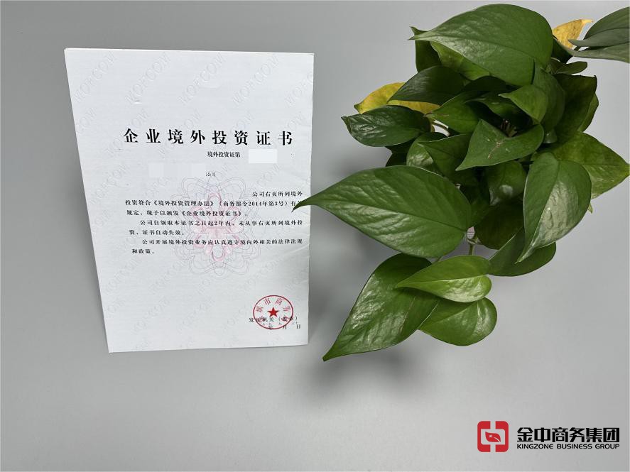 投资国外公司 投资国外公司
