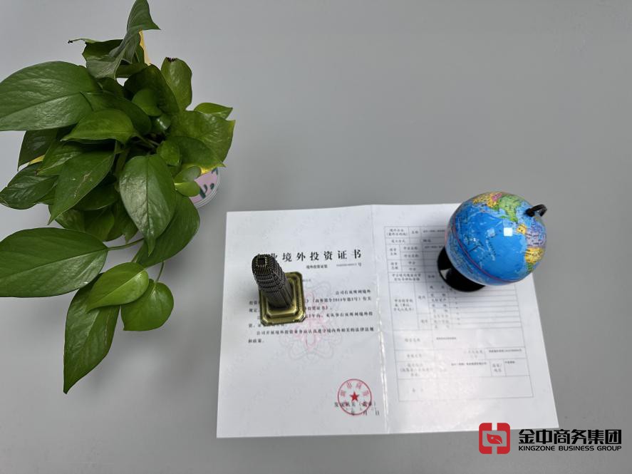 投资国外公司 投资国外公司