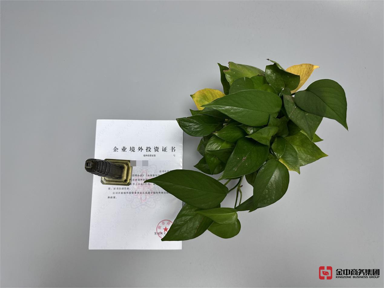 odi备案办理