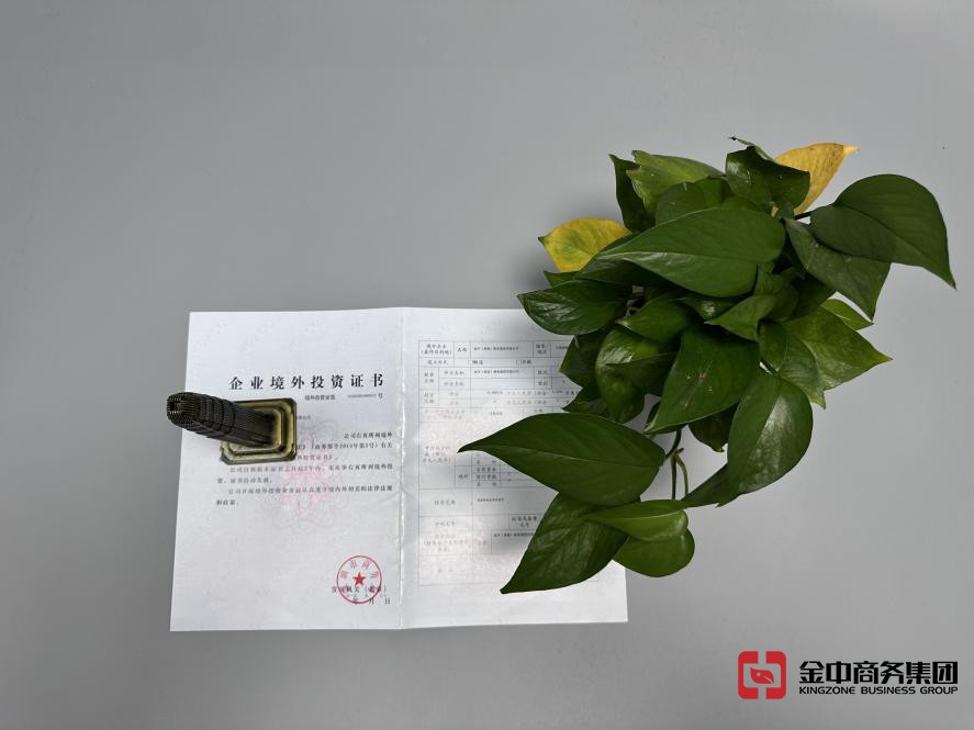 企业境外投资证书 企业境外投资证书