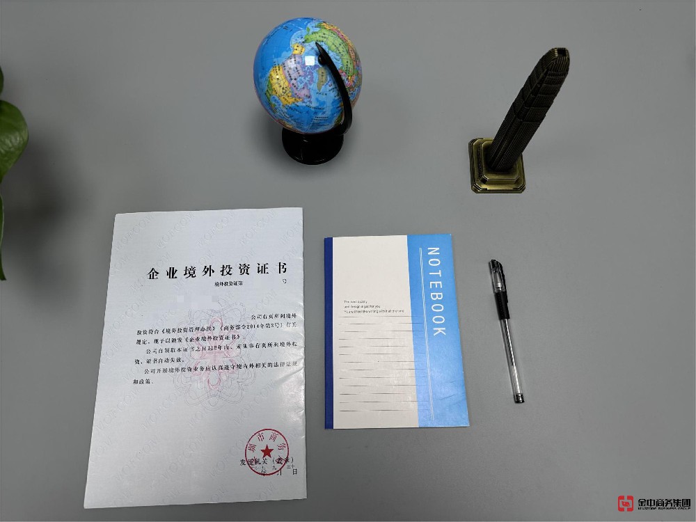 境外注册公司 境外注册公司