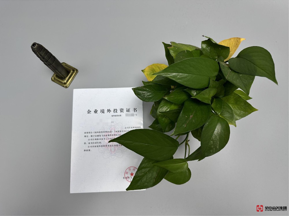 境外投资备案 境外投资备案