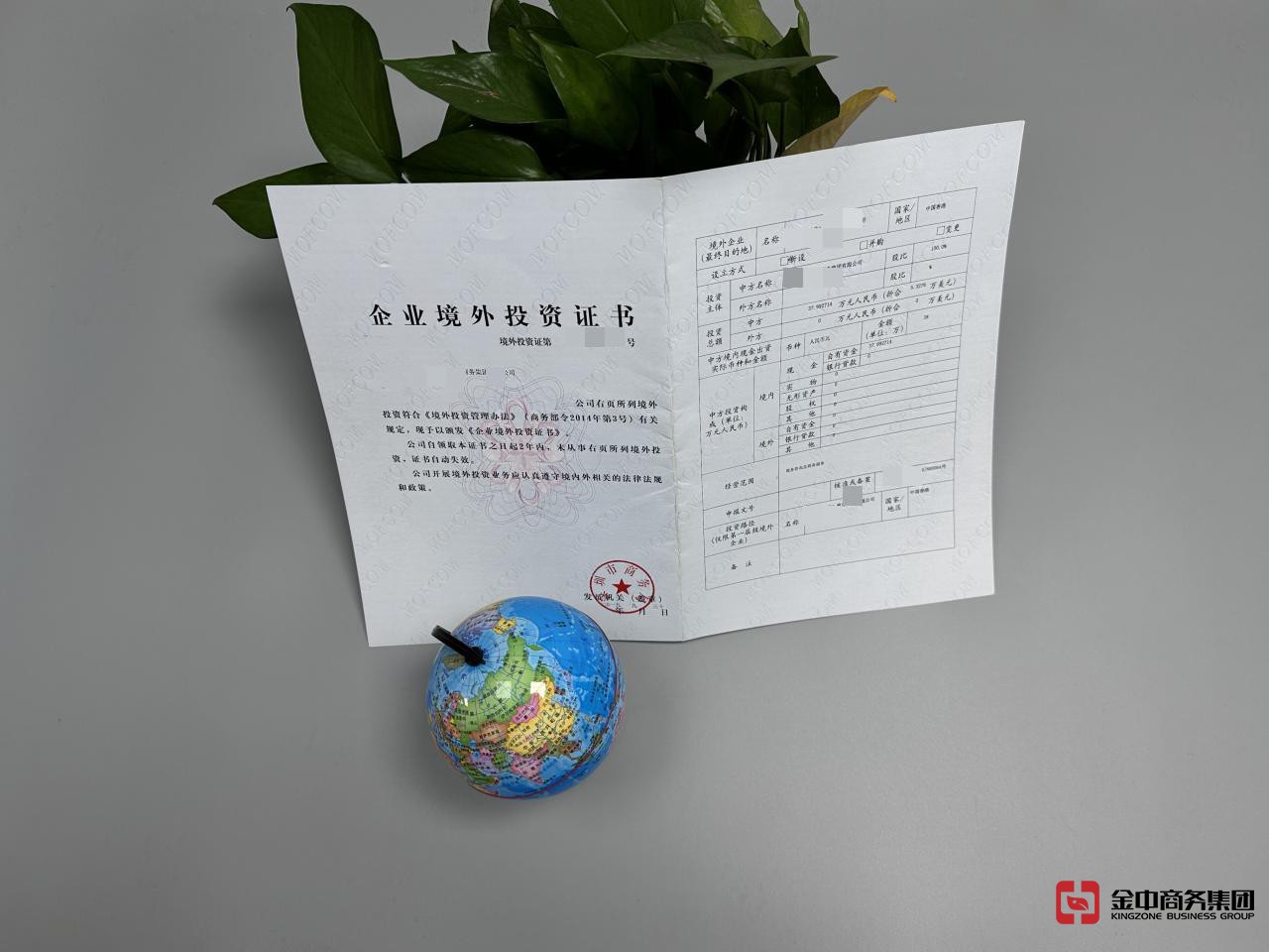 境外投资外汇登记 境外投资外汇登记