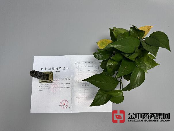 odi备案办理 odi备案办理