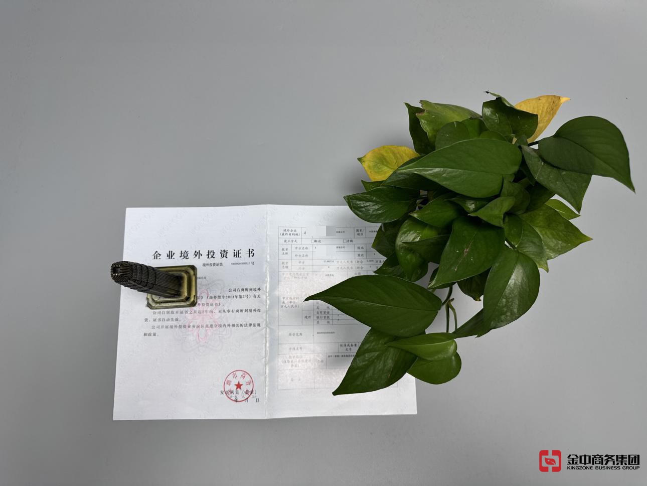 37号文登记 37号文登记