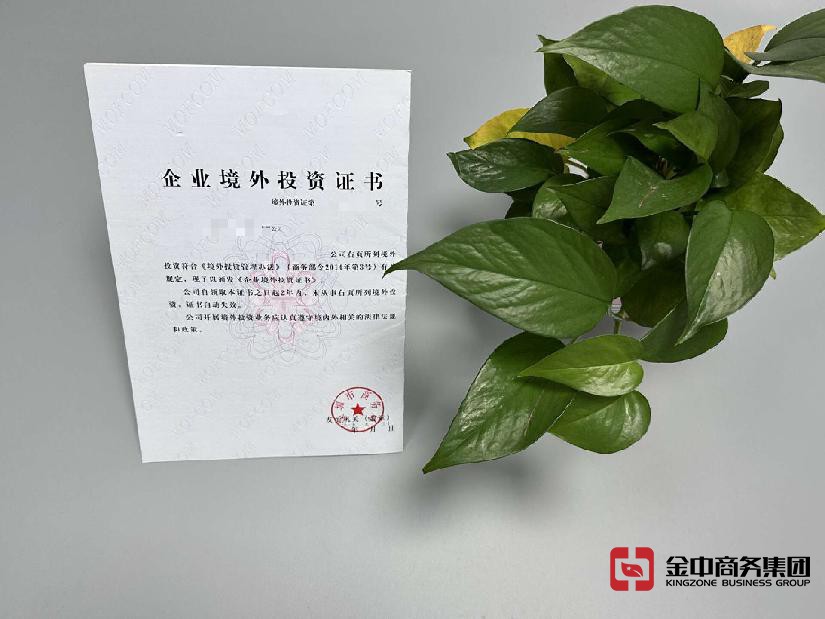境外直接投资 境外直接投资