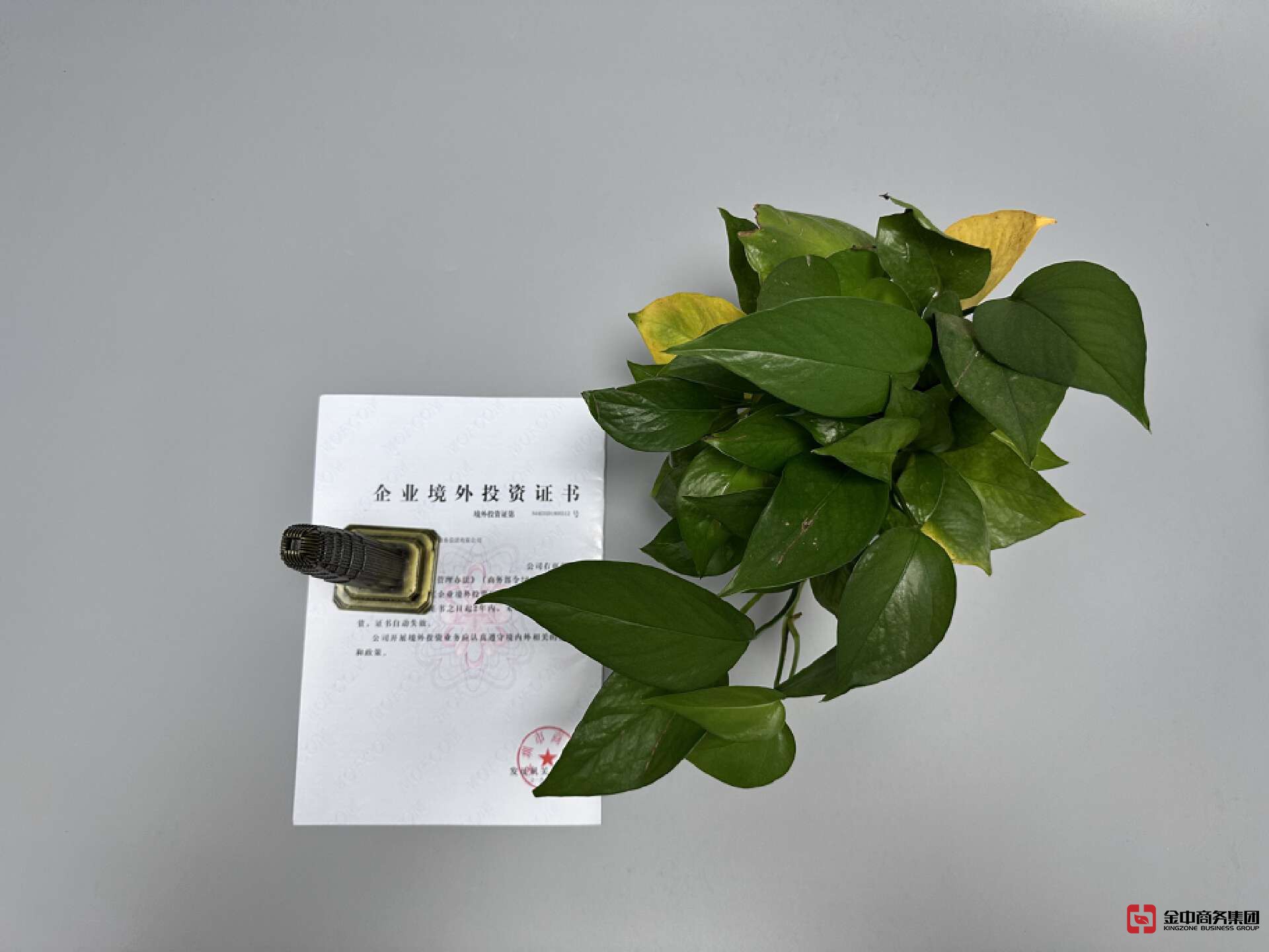 外商投资备案 外商投资备案