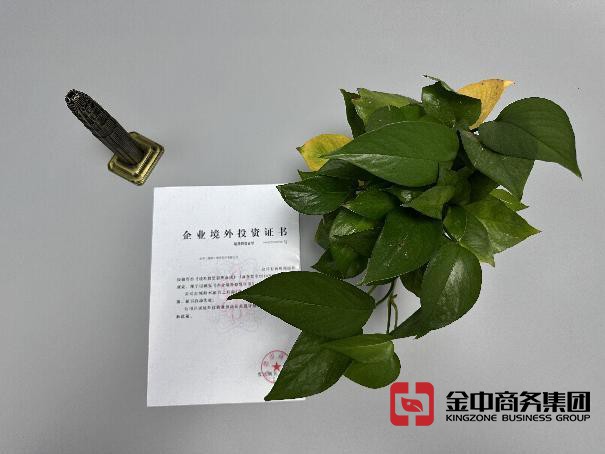 国际直接投资备案 国际直接投资备案