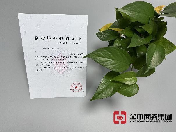 国际直接投资备案 国际直接投资备案