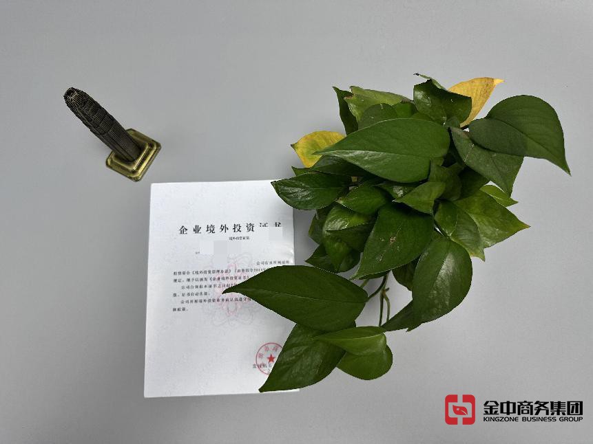 境外投资备案 境外投资备案