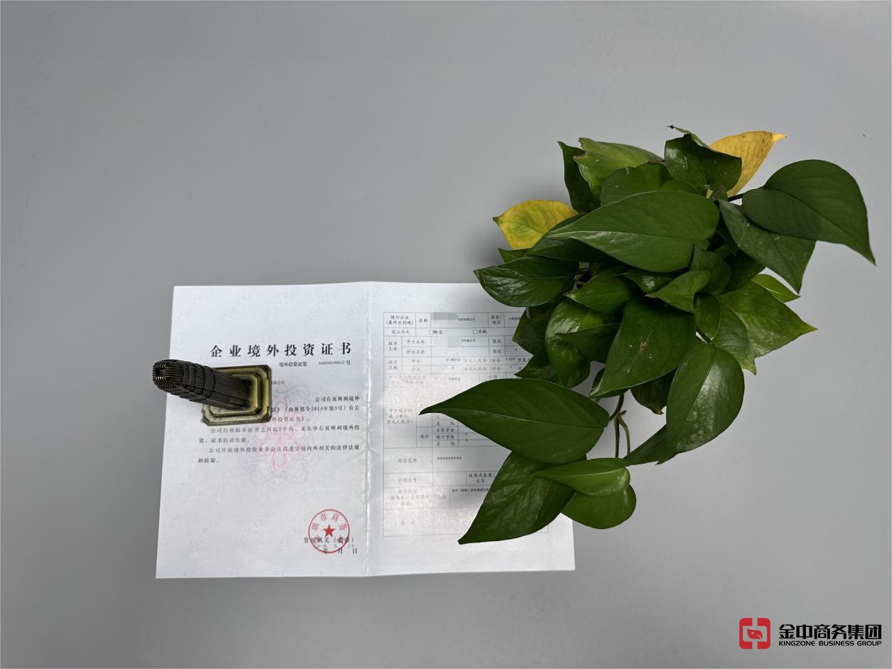 ODI备案登记 ODI备案登记